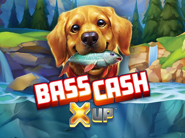 Bass Cash X UP™