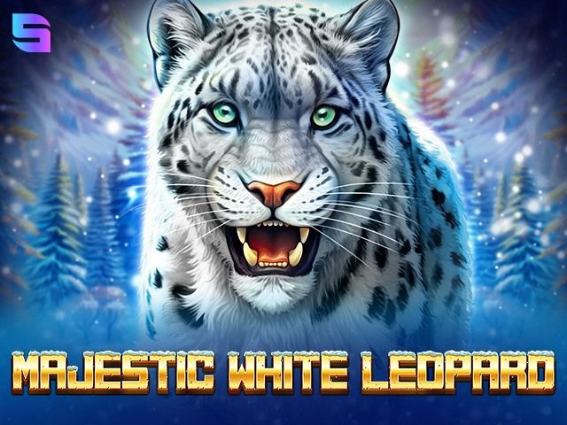 Majestic White Leopard