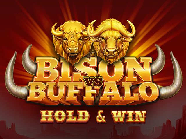 Bison vs Buffalo