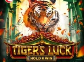 Tiger's Luck - Hold & Win™