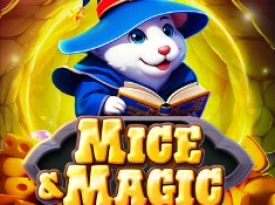 Mice & Magic Wonder Spin