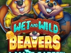 Wet and Wild Beavers