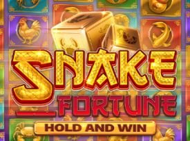 Snake Fortune Hold and Win