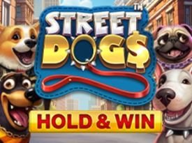 Street Dogs - Hold & Win