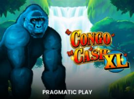 Congo Cash XL