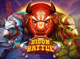 Bison Battle