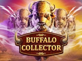 Buffalo Collector