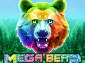 Mega Bear NO PJP