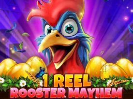 1 Reel - Rooster Mayhem