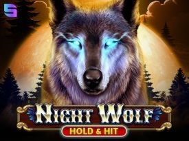 Night Wolf - Hold & Hit