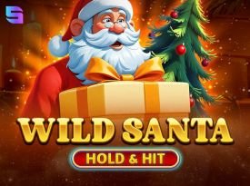 Wild Santa - Hold & Hit