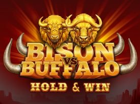 Bison vs Buffalo