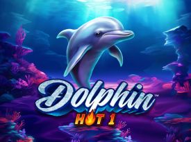 Dolphin Hot 1